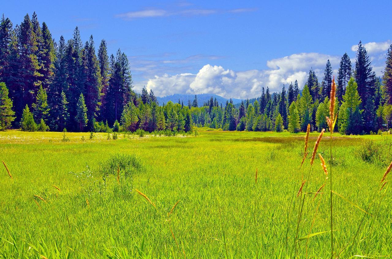 Leavenworth Camping Resort Tiny House Belle Buitenkant foto